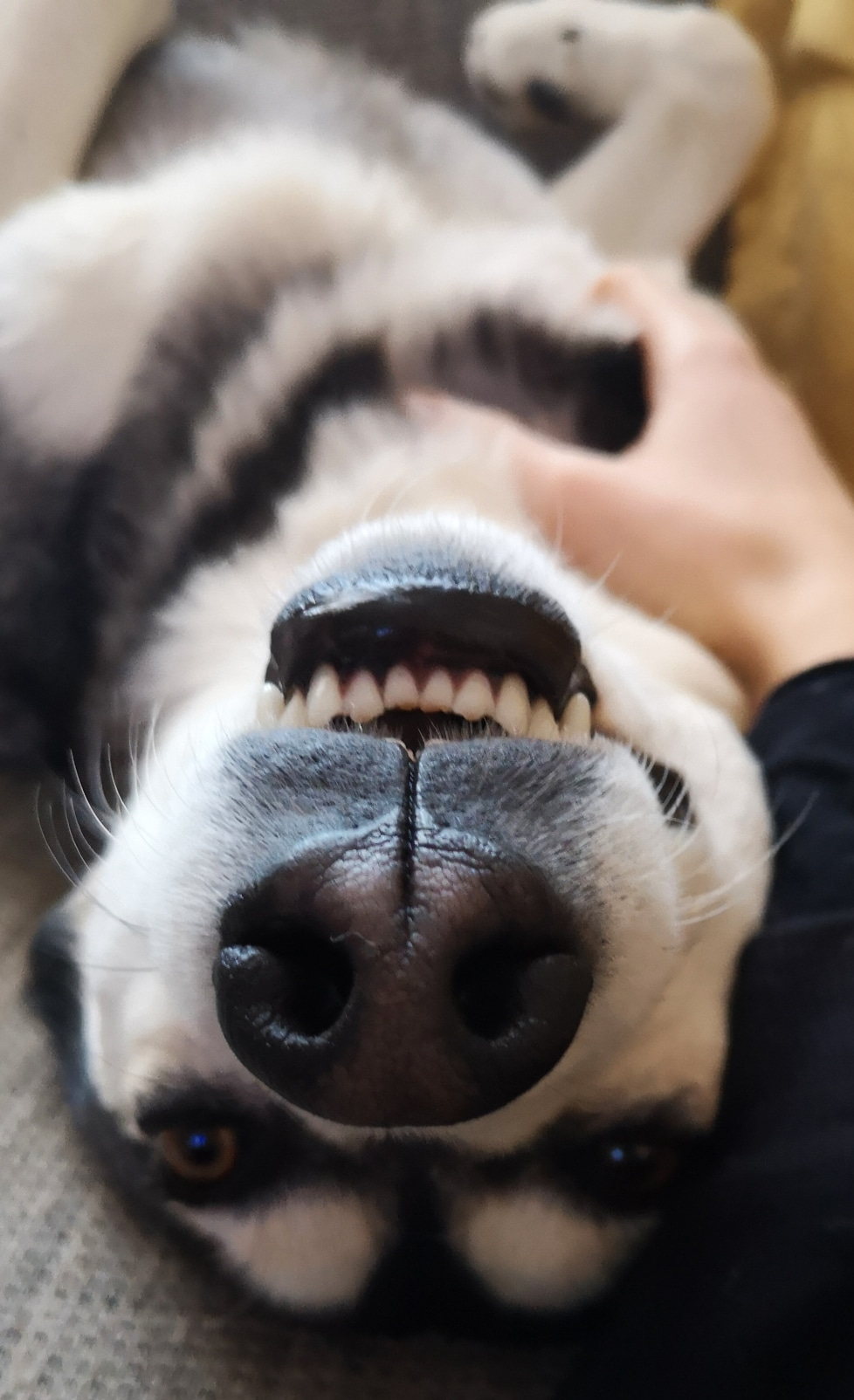 IMG_20200214_154414_611