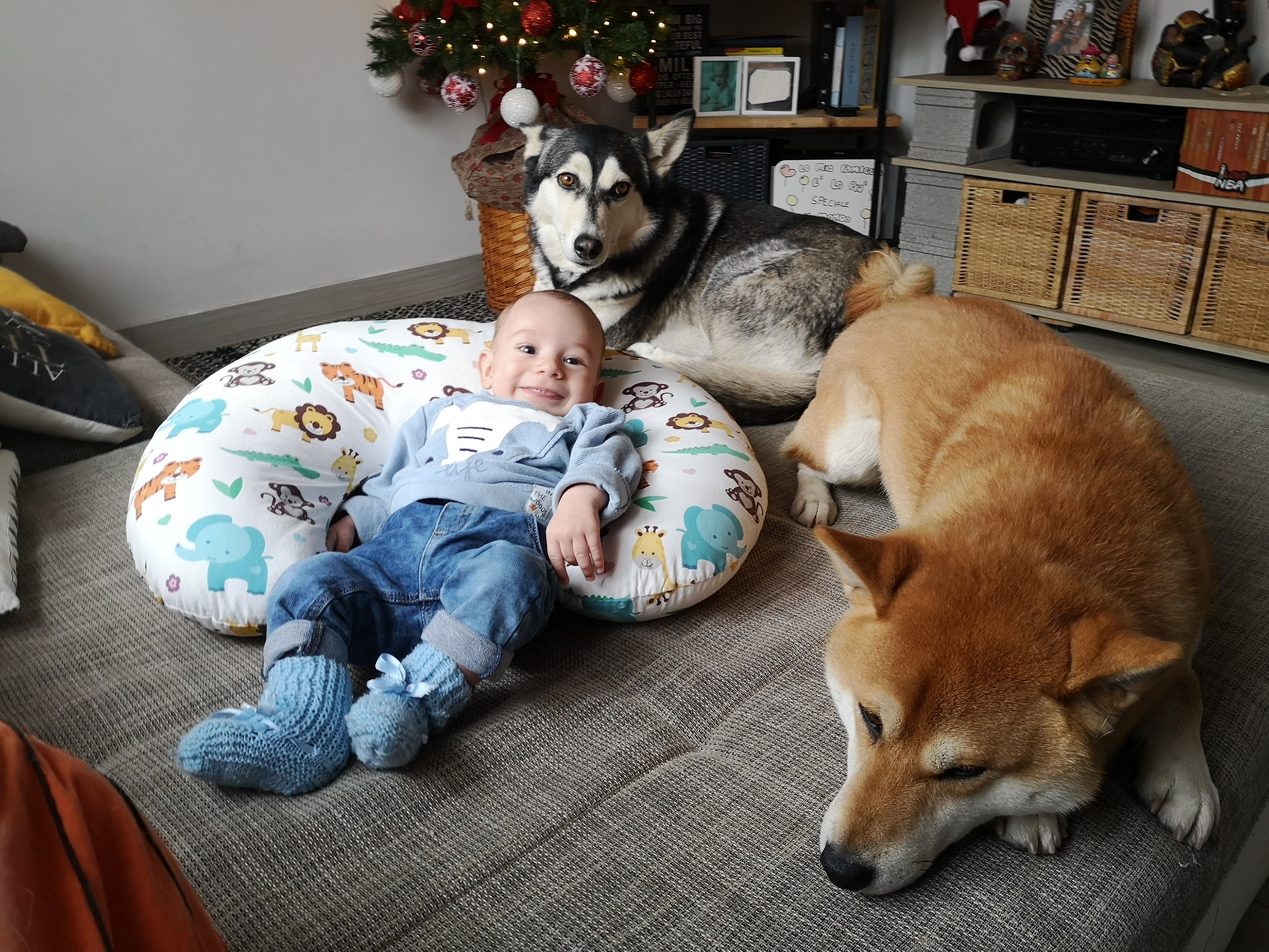 Aiuto, mi si è allargato il branco.